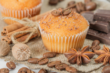 Cupcakes with chocolate chips