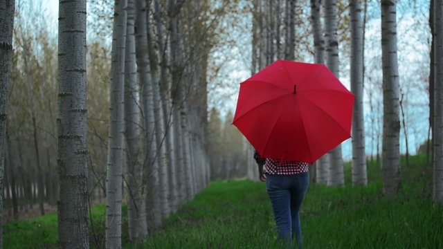 Woman with Red Umbrella Walking Away From the Camera in Park