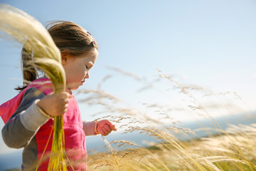 Cute little girl picking grasses
