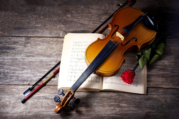 The violin and rose on musical notes