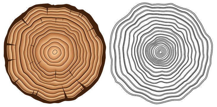 Vector tree rings