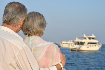 Fototapeta na wymiar Senior couple looking a sea