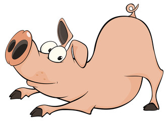 Pig. Cartoon