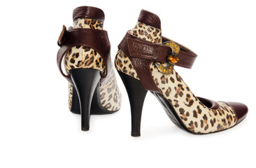 Woman shoes isolated on a white background