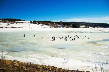 Fototapeta na wymiar Рыбаки сидят на льду на реке