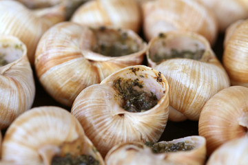 Escargots