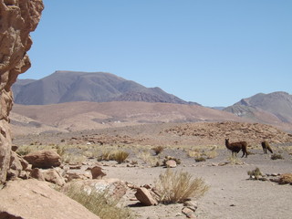 Fototapeta na wymiar San Pedro de Atacama