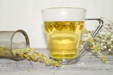 Herbal medicine ,Sideritis taurica herbal tea and flowers