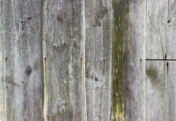 The old wood texture with natural patterns