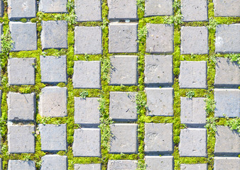 paving stone style with grass seamless pattern