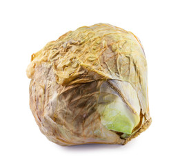 spoiled cabbage isolated on white background