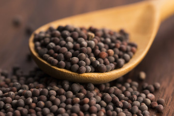 Brown mustard seeds