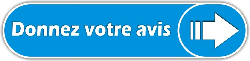 bouton donnez votre avis