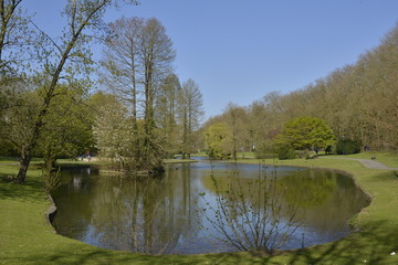 Fototapeta na wymiar Les étangs au printemps au parc du Dirigeable à Bruxelles