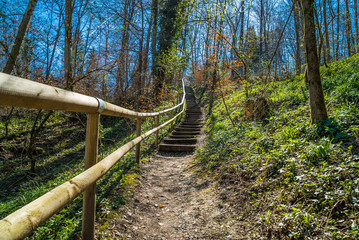 Fototapeta na wymiar Aufstieg per Treppe zum Bergwald in Wolfratshausen