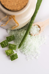 aloe vera and sea salt