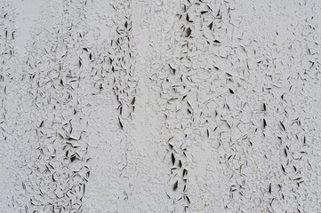 Old painted ragged white wall background