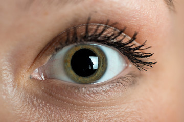 Obraz premium bayan gözü