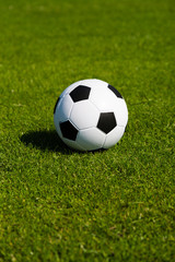 Fototapeta premium Green pitch with soccer ball