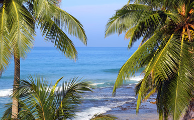 Fototapeta na wymiar sea landscape with palm leaves on foreground