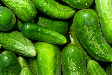 cucumbers