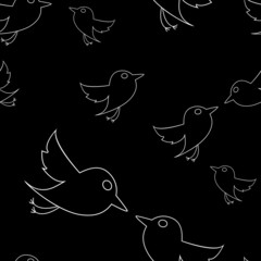 vector pattern with birds