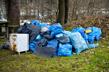Fototapeta Garbage in the forest obraz