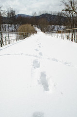 footsteps in snow on bridge - 81833005