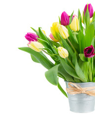 bouquet of  yellow and purple  tulip flowers