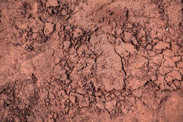 Dry soil closeup before rain