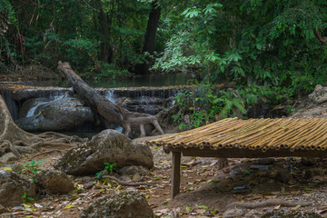 chair or bed in forest (nature background)