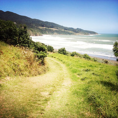 Raglan beach coastline New Zealand