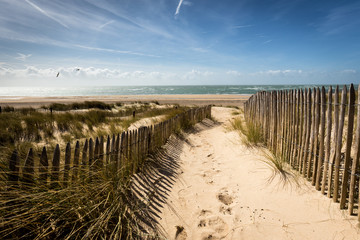 Dünen am Meer, Carteret, Normandie - Frankreich - obrazy, fototapety, plakaty