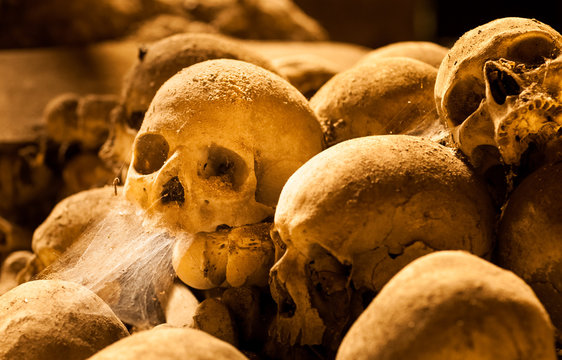 Middle ages skulls