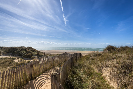 D&uuml;nen am Meer, Carteret, Normandie - Frankreich