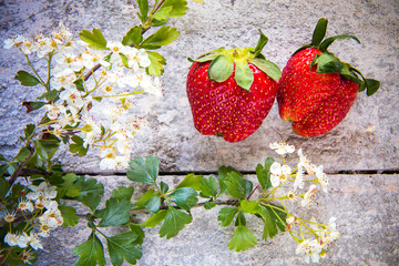 Strawberries with flowers