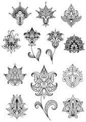 Paisley design elements with outline indian ornaments