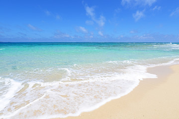 Fototapeta na wymiar 南国の美しいビーチと紺碧の空