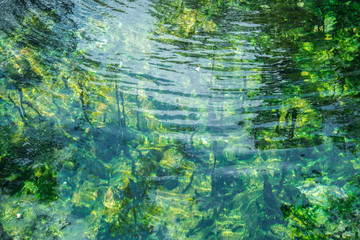 green water surface