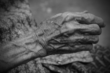 Fototapeta premium Hands of the old woman. Black and White.