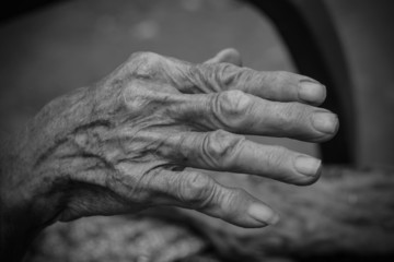 Fototapeta premium Hands of the old woman. Black and White.
