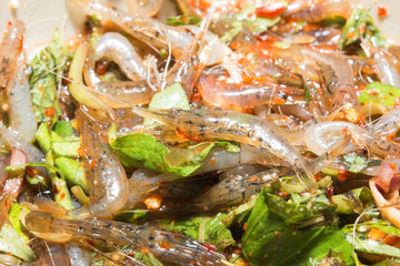 Fototapeta na wymiar fresh shrimp Salad