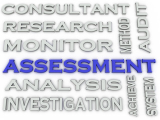3d image Assessment  issues concept word cloud background