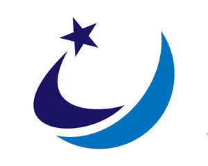 star wave logo