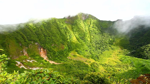 Saint Kitts Rainforest Landscape