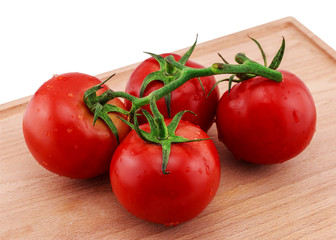 tomatoes on a branch