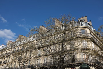 Immeuble de pierre blanc derrière des arbres, ciel bleu, Paris