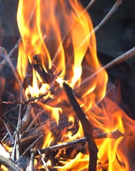 flame or fire background