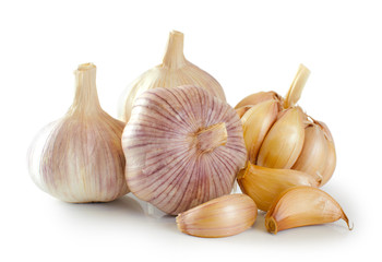 Garlic on a white background