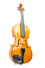 Fototapeta premium violin on white background